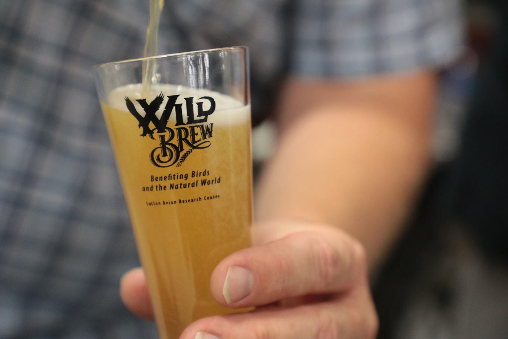 Wild Brew